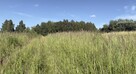 Widokowa działka inwestycyjna - 6