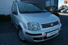 Fiat Panda - 1