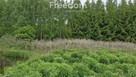 Malownicza działka 2 790 m² ze stawem przy lesie - 7