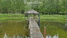Malownicze działki 8 324 m² ze stawem przy lesie - 5