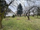 Duża działka pod zabudowę wielorodzinną - 8