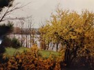 Mazury unikat 2w1 linia brzegowa jeziora k/Ełku - 12