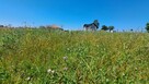 Działka inwestycyjna Tyniec Nad Ślęzą gm. Kobierzyce, Wrocławska - 11