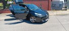 Śliczne Rano Clio Limited 2015 r - 12