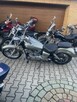 Yamaha Dragstar XVS125 i dużo innych - 4