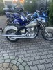 Yamaha Dragstar XVS125 i dużo innych - 3