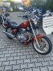 Yamaha Virago XV750 zadbana i dużo innych - 2
