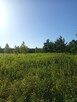 DZIAŁKA ROLNA 3000m2 BLISKO PUSZCZY LEONCIN - 11
