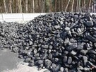 Węgiel kamienny w kilku rodzajach - 4
