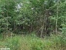 Działka | w Lesie | 3001m2 | Łopacin | gm. Sońsk - 11