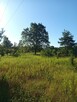 DZIAŁKA ROLNA 3000m2 BLISKO PUSZCZY LEONCIN - 5