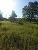 DZIAŁKA ROLNA 3000m2 BLISKO PUSZCZY LEONCIN - 14