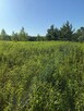 DZIAŁKA ROLNA 3000m2 BLISKO PUSZCZY LEONCIN - 12