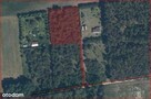 Działka | w Lesie | 3001m2 | Łopacin | gm. Sońsk - 10