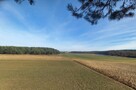 Atrakcyjna działka Chojno-Młyn/Wronki - 7