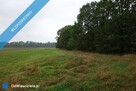 Skoczów Ochaby 62ar rolna pod lasem pod rekreacje altanke - 6