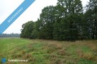 Skoczów Ochaby 62ar rolna pod lasem pod rekreacje altanke - 7