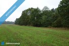 Skoczów Ochaby 62ar rolna pod lasem pod rekreacje altanke - 9
