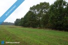 Skoczów Ochaby 62ar rolna pod lasem pod rekreacje altanke - 10