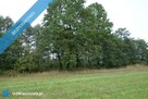 Skoczów Ochaby 62ar rolna pod lasem pod rekreacje altanke - 11