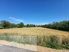 Duża działka 10 km od Radomska - 2