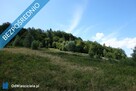 Brenna 2,53 ha działka inwestycyjna blisko wyciągu - 9