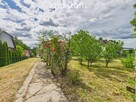 Domek jednorodzinny, Borki, powiat szydłowiecki - 16