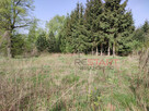 Działka budowlana Opypy gm. Grodzisk Mazowiecki, - 8