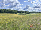 Działka budowlana Kwidzyn, - 9