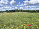 Działka rekreacyjna Kwidzyn, - 4