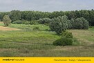 Działka 1,59ha we Wsi Półmieście, Żuławy Wiślane - 2