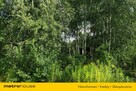 Działka Cisie - 4