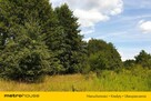 Działka Cisie - 2