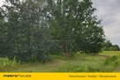 Działka Cisie - 4