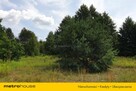 Działka Cisie - 4