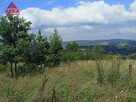 Działka rekreacyjna Łapanów - 10