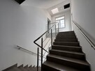 Lokal użytkowy Szczecin Śródmieście - 7