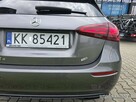 Mercedes A 250 - 11