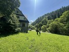 Dom o pow. 140 m2 w miejscowości Szczawa - działka 1612 m2 - 4