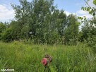 Działka | 1135m2 | Gąski ul. Leśna - 4