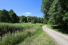 Dwie działki rolne 41 arów w Zagórze, gm. Jodłowa - 4
