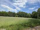 Dom | pokoje | agroturystyka | Las | rzeka |staw - 5