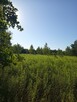 DZIAŁKA ROLNA 3000m2 BLISKO PUSZCZY LEONCIN - 3