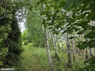 Działka | 1135m2 | Gąski ul. Leśna - 6