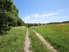 Trzy działki obok siebie, 34 ary w Zagórze, gm. Jodłowa - 4