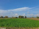 Działka rolna | 8313m2 | III klasa ziemi | - 5