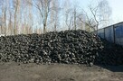Tani węgiel kamienny Ekomiał ekogroszek orzech kostka - 2