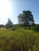 DZIAŁKA ROLNA 3000m2 BLISKO PUSZCZY LEONCIN - 7