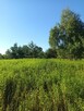 DZIAŁKA ROLNA 3000m2 BLISKO PUSZCZY LEONCIN - 9