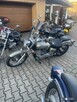 Yamaha Dragstar XVS125 i dużo innych - 1